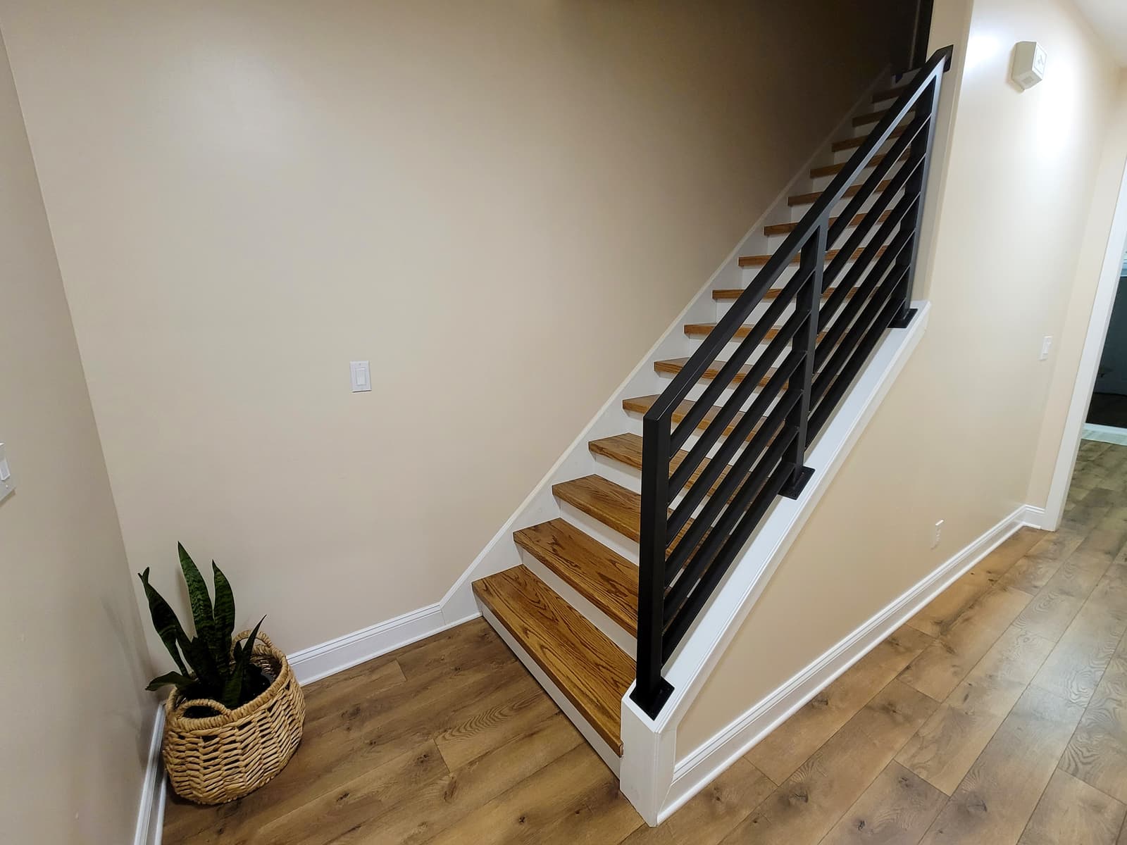 ASB Iron Railing photo in railing work, Central Kentucky.